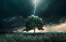 下雨打雷時(shí)我們躲在大樹底下為什么容易遭受雷擊？