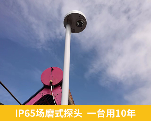 IP65場磨式探頭  一臺(tái)用10年
