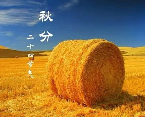 秋分 | 秋色灑滿大地，滿目秋意為伴