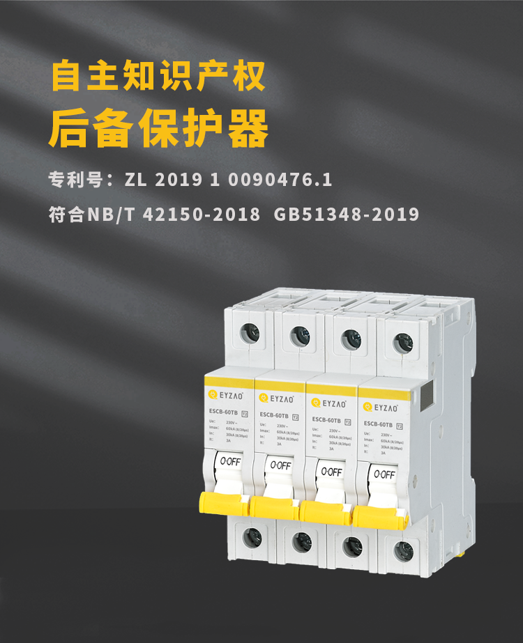 浪涌后備保護(hù)器廠家