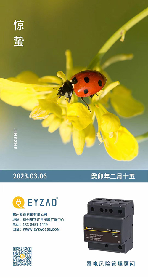 驚蟄-驚雷響 萬物生-易造防雷